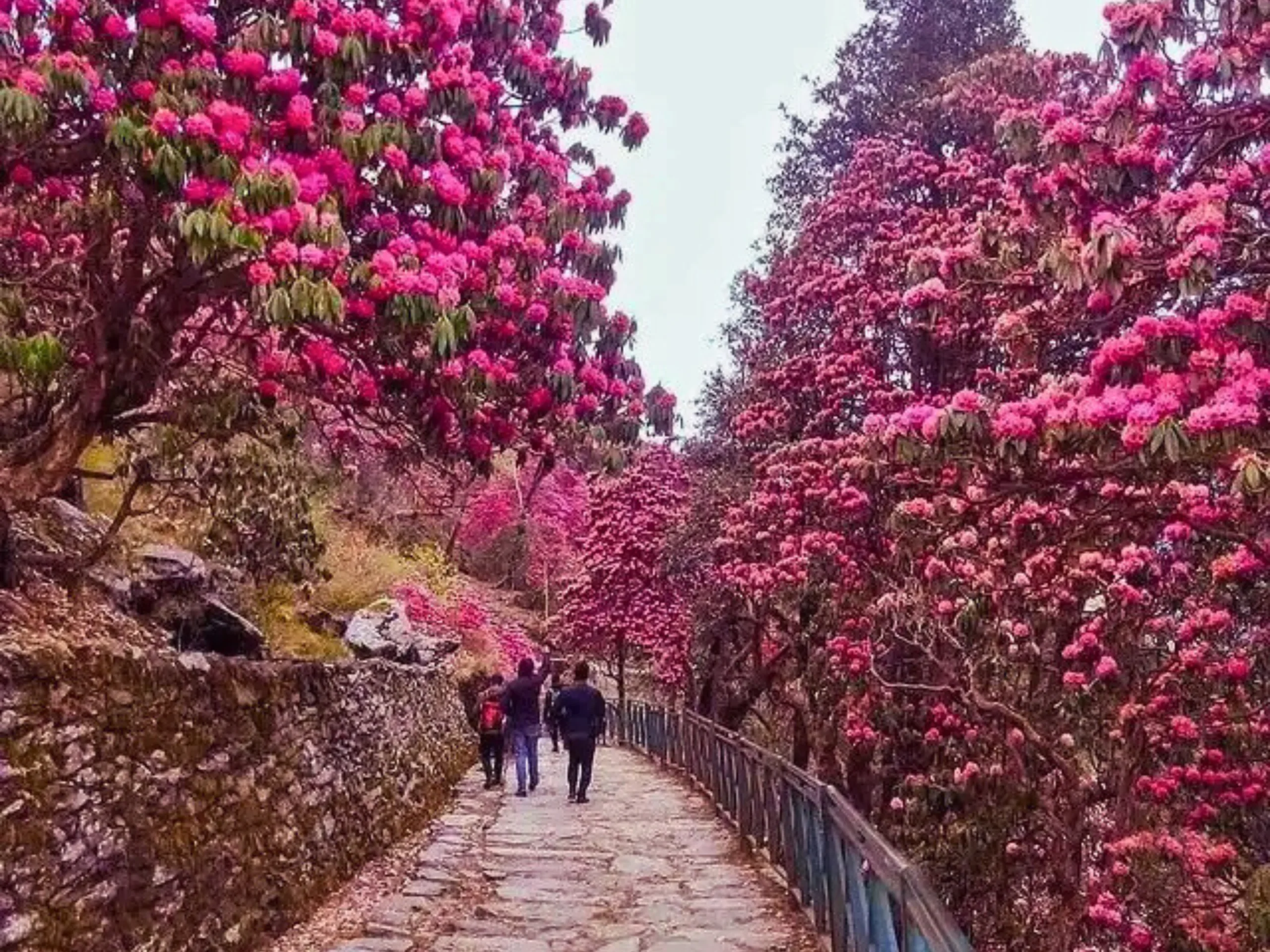 Untitled design 15 scaled